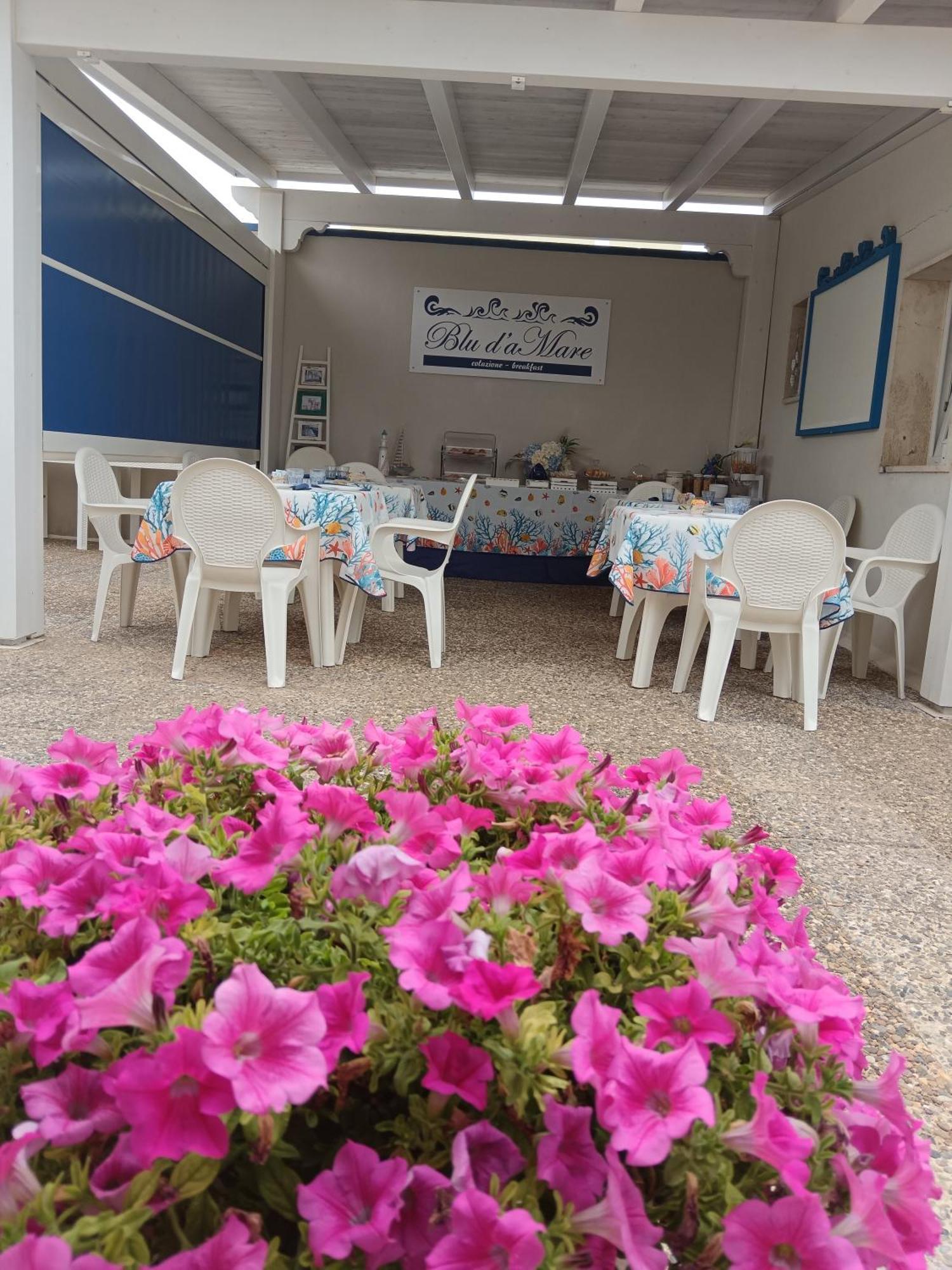 Blu D'Amare B&B Porto Cesareo Exterior foto